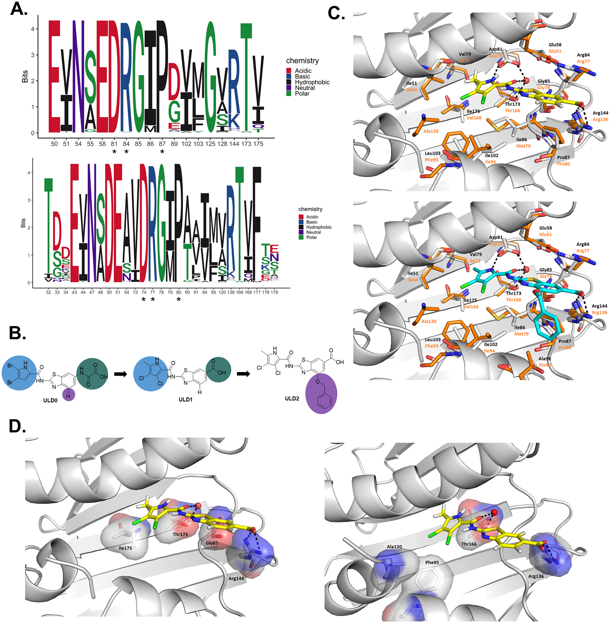 Rational design of balanced dual-targeting antibiotics.