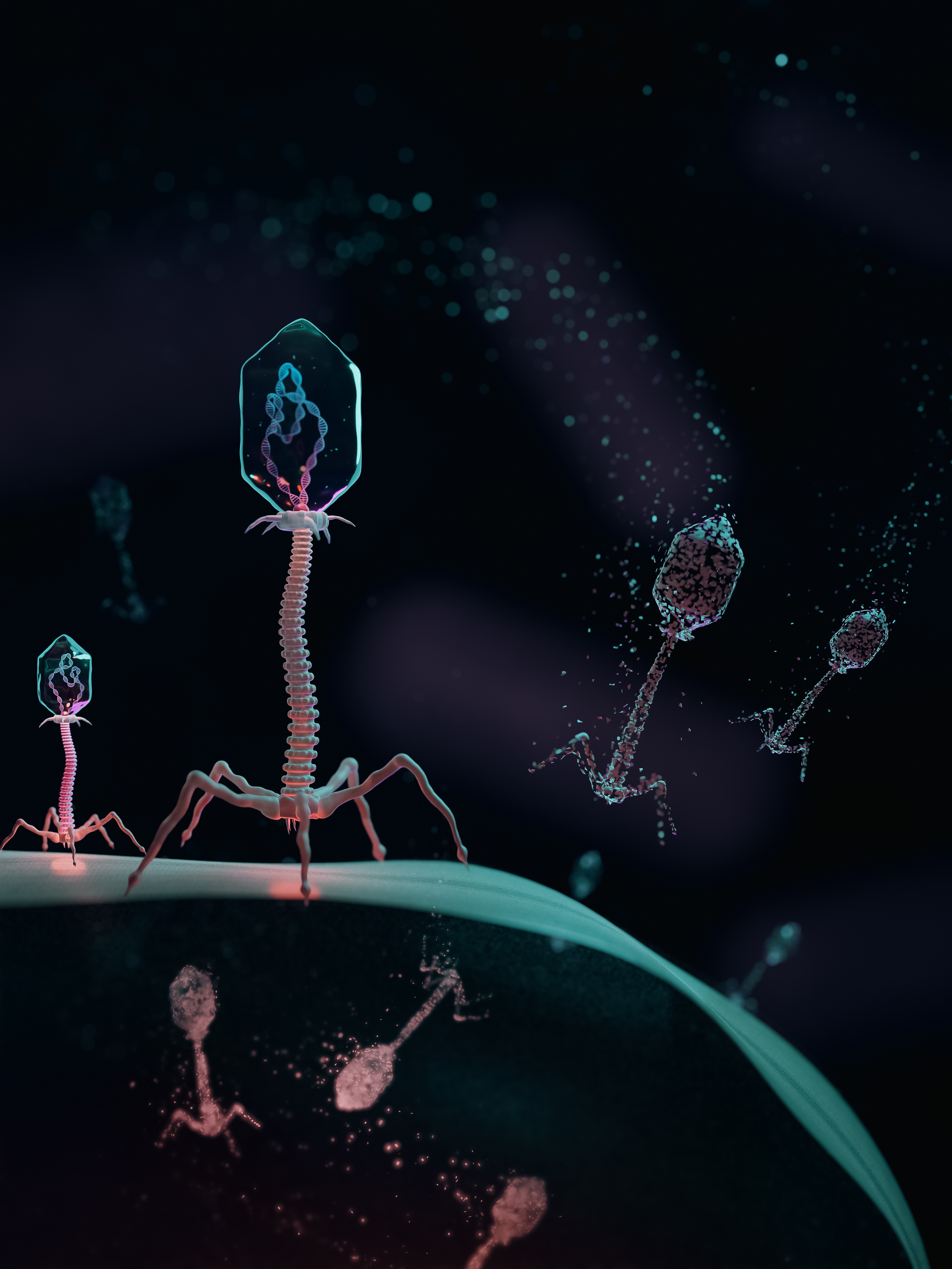 disappearing_phages.jpg