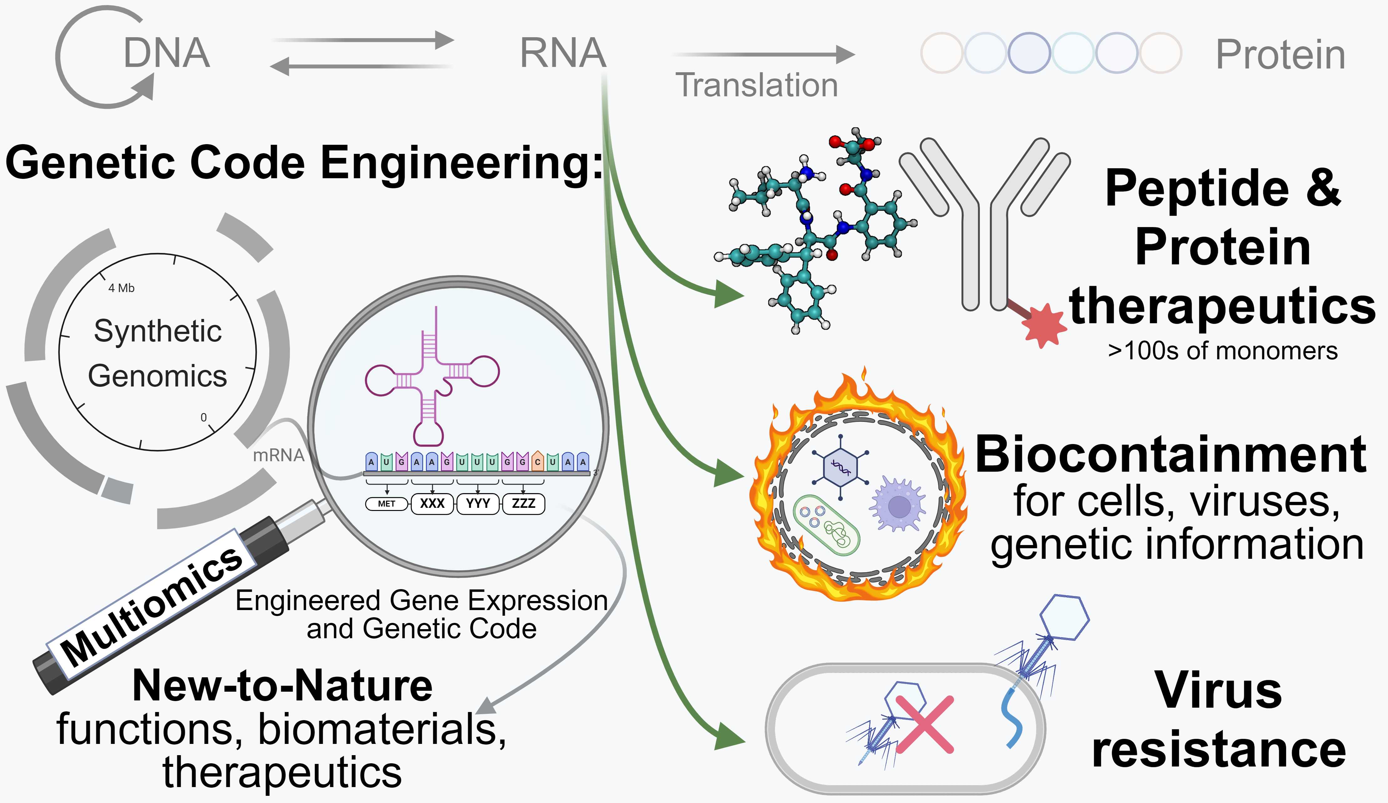 Multi-omics-guided genome synthesis and design.